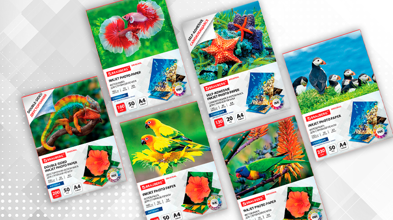 Фотобумага матовая и глянцевая для струйной печати "Brauberg Original". НОВИНКА!