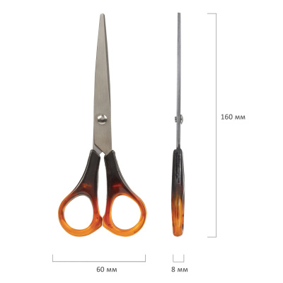 008ef53aee94395813e22eaf53f3e8a4_xl