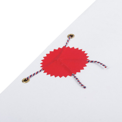 f1ea1d27824d16fbf16b1de31cc573e2_xl