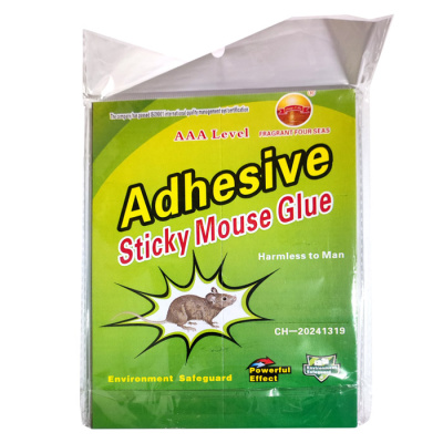 media_20241114_152438_7910471687445615114